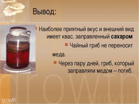 Чайный гриб приготовление в домашних условиях на 3 литра пошагово с фото пошагово